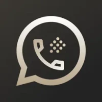 Second Phone Number: 2nd Line+