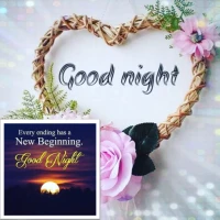 Beautiful Good Night Pictures