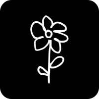 One year countdown Widget