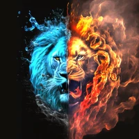 Wallpapers for Galaxy