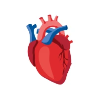 Blood Pressure App- BP Monitor