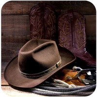 Country Ringtones For Android
