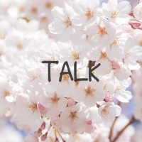 벚꽃 2 테마 - 심플 카톡테마