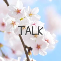 벚꽃 1 테마 - 심플 카톡테마