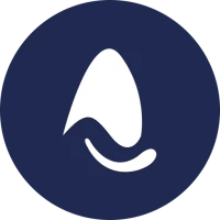 Holesail Go P2P Network Tunnel