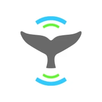 Whale Alert