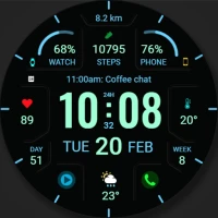 WFP 324 Digital watch face