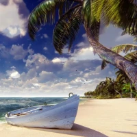Seashore Palms Live Wallpaper