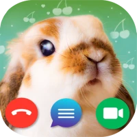 Fake Call: Bunny