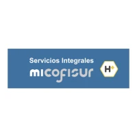 Micofisur