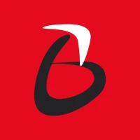 Boomerang Express Portal