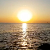 Sunset Live Wallpaper