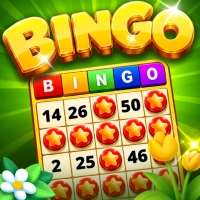 Lucky Bingo