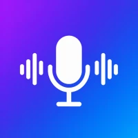 Voice Recorder Transcription