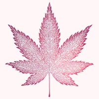 Well With Cannabis