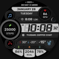 WFP 299 Digital watch face