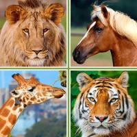 Animals for Kids Flashcards