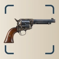 Gun Value: Firearm Identifier