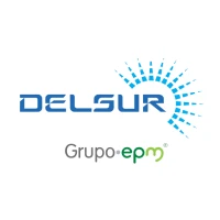 Delsur