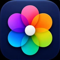 Gallery - Photos & Videos