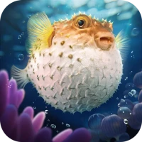 Top Fish: Ocean Game