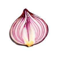 Onion Search Engine