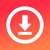 Video Downloader - Story Saver