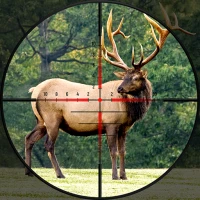 Wild Hunt:Hunting Rival