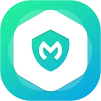 Mega VPN