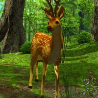 3D Deer-Nature Live Wallpaper