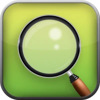 Pocket Magnifier with LED