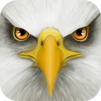 Ultimate Bird Simulator