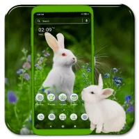 White Rabbit Launcher Theme