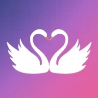 Proposal: Muslim Marriage App