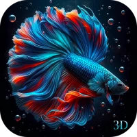 Betta Fish Live Wallpaper