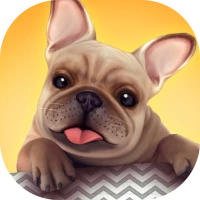 Dog Shelter: Serve Save Adopt