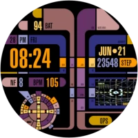 TREK: 24th Century Watch v1