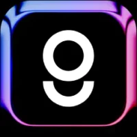 Gravidy