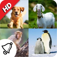 150 Animal Ringtones