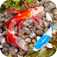 3D Fish Tank Live Wallpaper