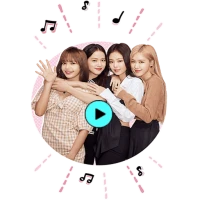 Animated Blackpink Sticker WA