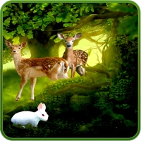 Forest Deer Live Wallpaper