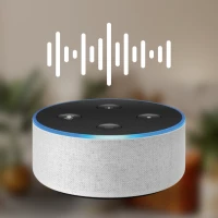 Voice Command