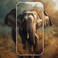 Animal Wallpaper App