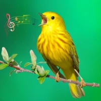 Animal & Bird Sounds Ringtones