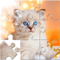 Jigsaw Puzzle For Seniors