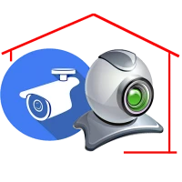IP camera for LAN