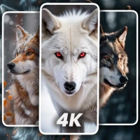 Animal Wallpapers for Wolf