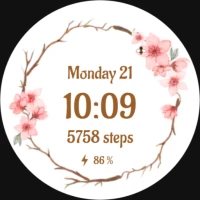 DADAM16 Flower Watch Face
