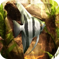 HD Aquarium Live Wallpaper 3D